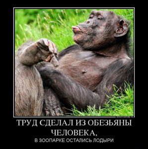1170c083bc88fe9aaef78eff776da399-trud_sdelal_iz_obezyany-cheloveka.jpg