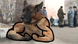 1588525446533.png