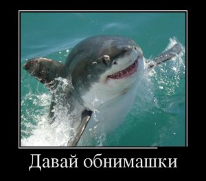 1355107729_016.jpg 1355107729_016.jpg