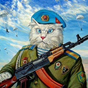 Кот ВДВ.jpg