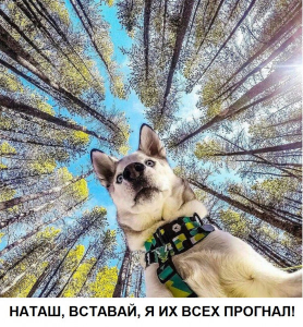 1589784747144.png