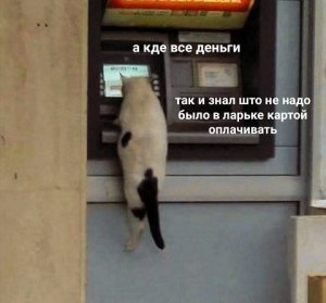 kiPuhOCyOC8.jpg