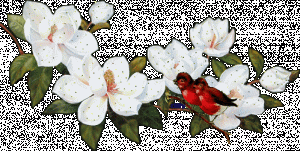 117249279_1__180_.gif