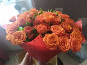 IMG_20200527_130306.jpg