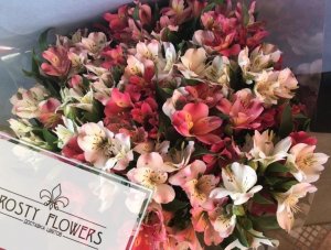 2BBB7501-25C8-44AB-BC17-2D96CAA706DA.jpeg