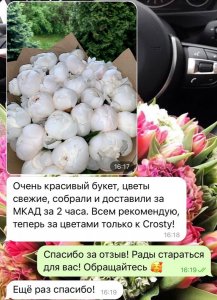 56DECCF9-9C27-4ABC-B44A-605A0B053058.jpeg