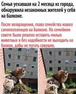 B545CF24-8710-4FFF-8A4B-546EF5C9A5E7.jpeg