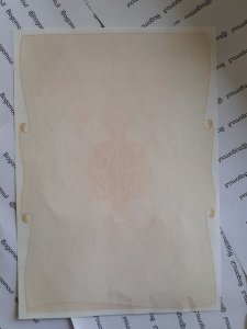 20200727_192053.jpg